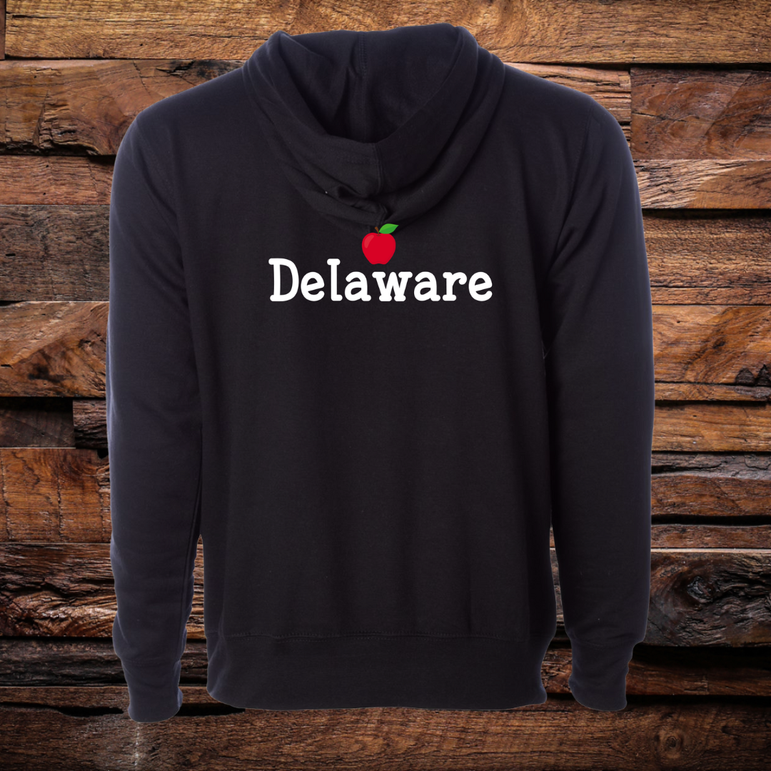 Teach Delaware Hoodie