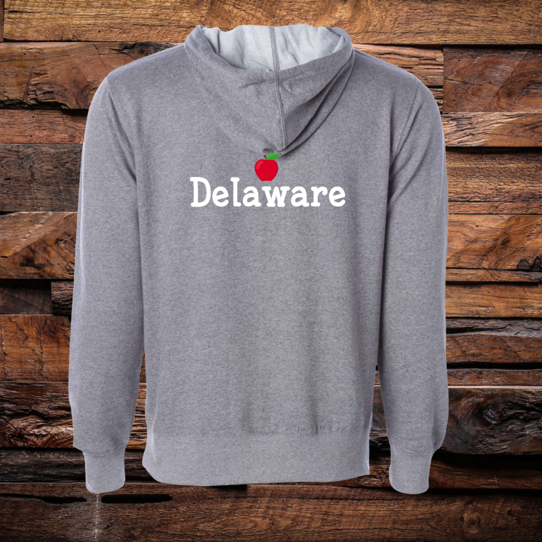 Teach Delaware Hoodie